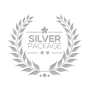 Silver email assessment